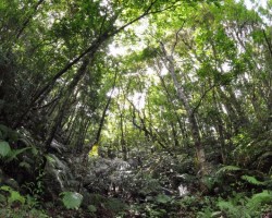 那須エリアで贅沢な別荘生活を