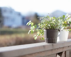 房総エリアの４大別荘地とは